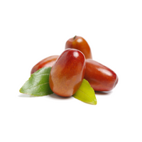 jojoba
